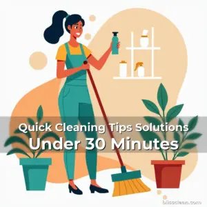 Artistic representation for Quick Cleaning Tips Solutions Under 30 Minutes