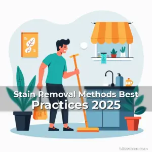 Artistic representation for Stain Removal Methods Best Practices 2025