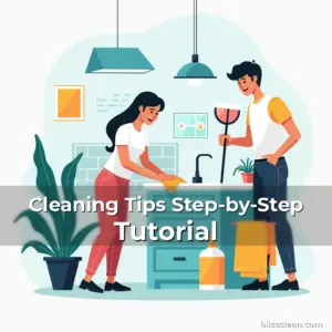 Artistic representation for Cleaning Tips Step-by-Step Tutorial