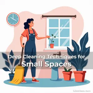 Artistic representation for Deep Cleaning Techniques for Small Spaces