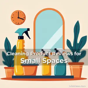 Artistic representation for Cleaning Product Reviews for Small Spaces