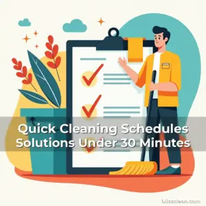 Artistic representation for Quick Cleaning Schedules Solutions Under 30 Minutes