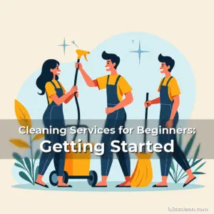 Artistic representation for Cleaning Services for Beginners: Getting Started