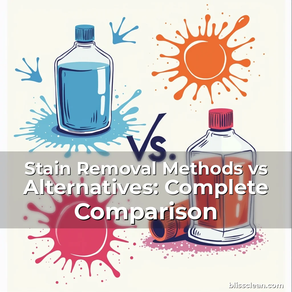 Artistic representation for Stain Removal Methods vs Alternatives: Complete Comparison