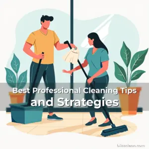 Artistic representation for Best Professional Cleaning Tips and Strategies