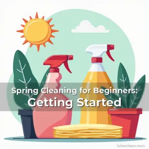 Artistic representation for Spring Cleaning for Beginners: Getting Started