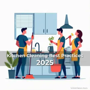 Artistic representation for Kitchen Cleaning Best Practices 2025