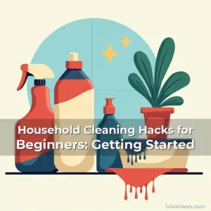 Artistic representation for Household Cleaning Hacks for Beginners: Getting Started