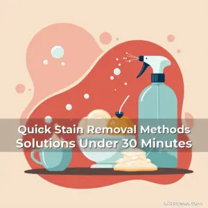 Artistic representation for Quick Stain Removal Methods Solutions Under 30 Minutes