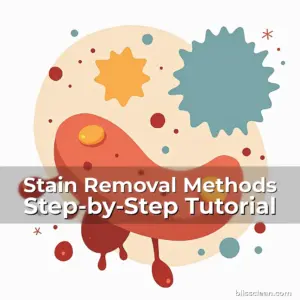 Artistic representation for Stain Removal Methods Step-by-Step Tutorial