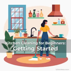 Artistic representation for Kitchen Cleaning for Beginners: Getting Started